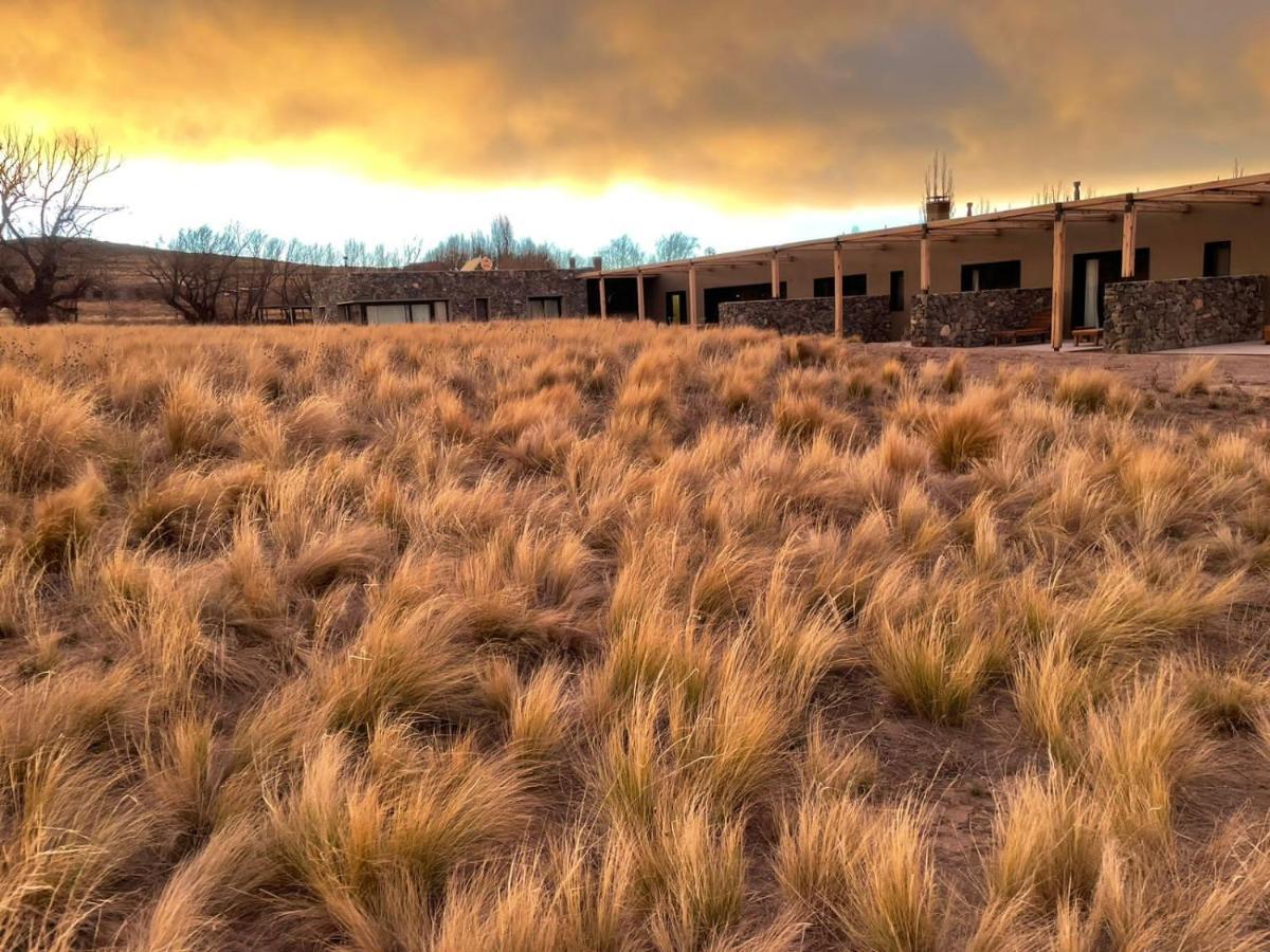 Rancho Adobe Eco Hotel Tupungato Dış mekan fotoğraf